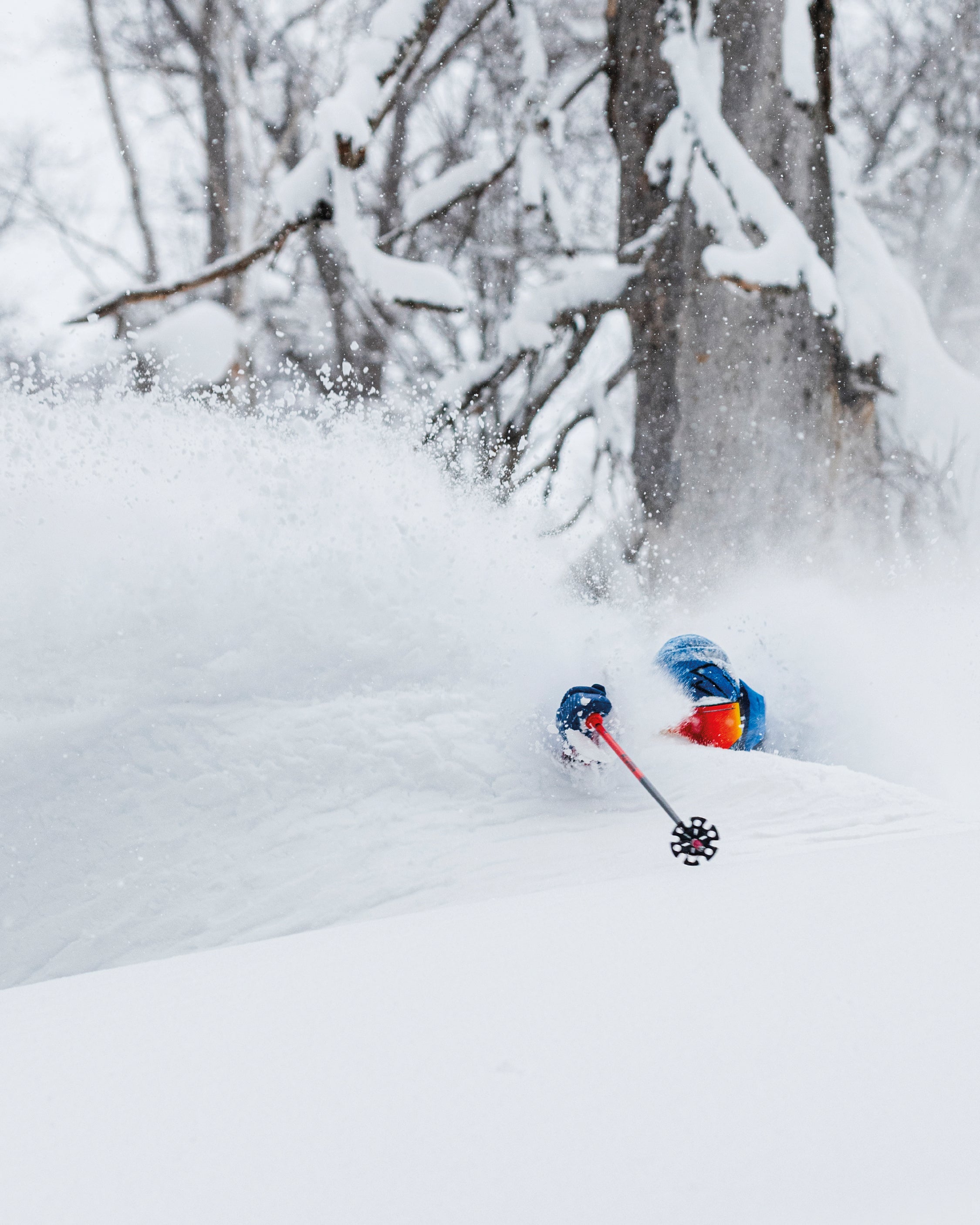 A LOVE LETTER FROM JAPAN