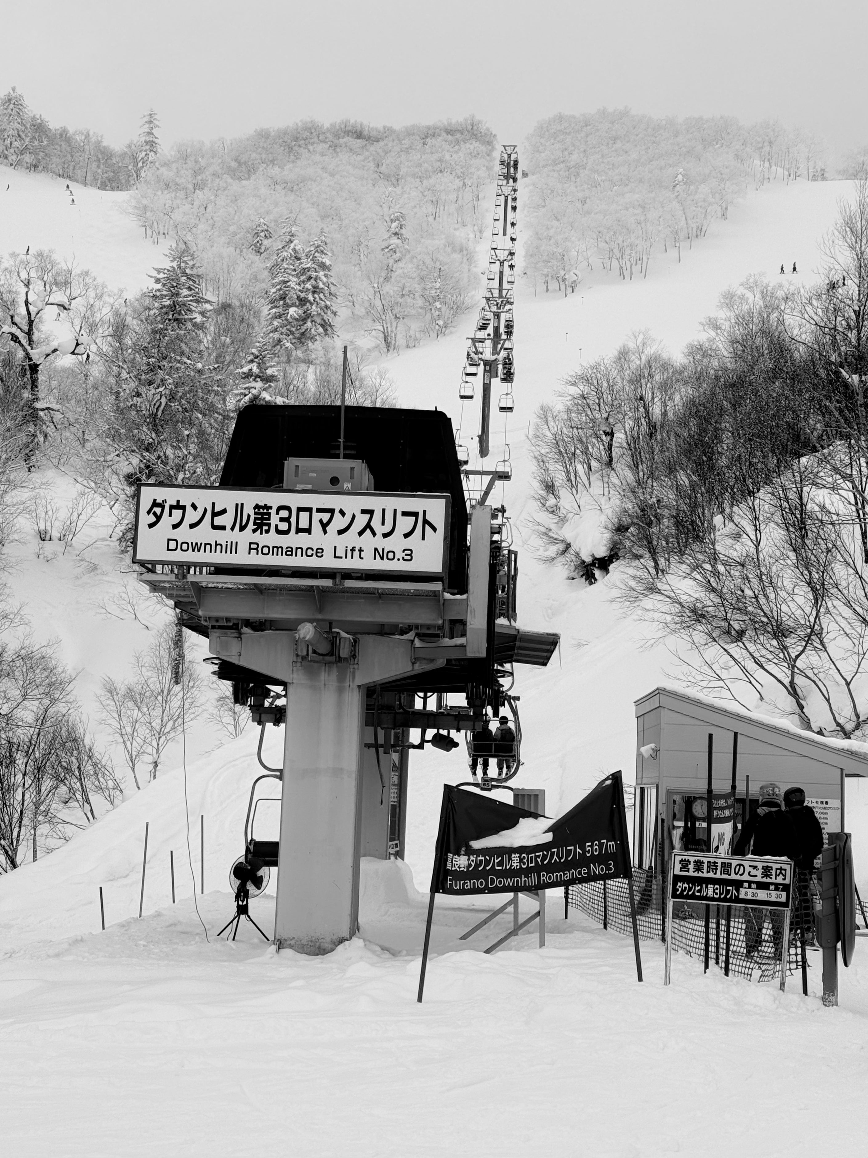 A LOVE LETTER FROM JAPAN